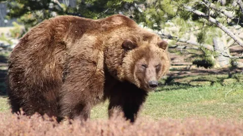 2025女子中巡赛季高尔夫赛启航，东莞观澜湖见证120位高手角逐