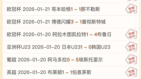 恩佐与马雷斯卡在切尔西未来规划中占据关键位置——罗马诺观点